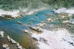 Salt deposits on river bank